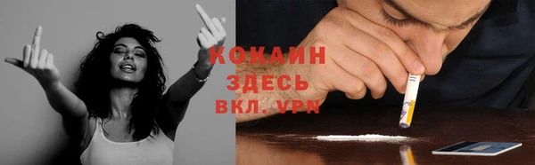 прущие крисы Балахна