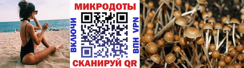 Галлюциногенные грибы Psilocybine cubensis  Купить где  Николаевск 